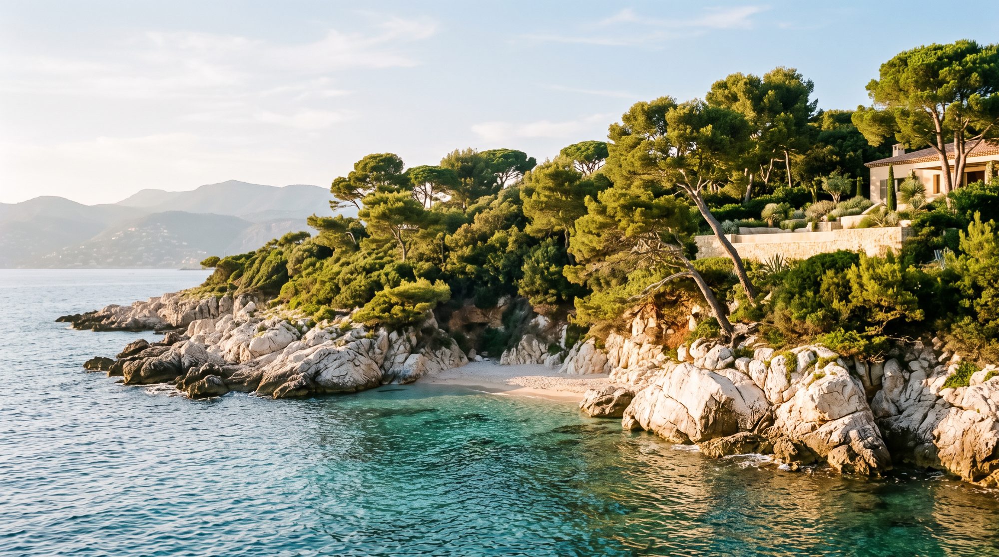 Umbrella pines over white rock and a turquoise cove on the Cap d’Antibes