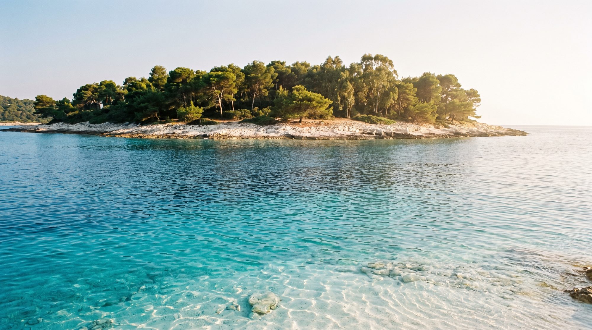 A pine-covered island off the coast, its pale rocks dropping into clear shallow water