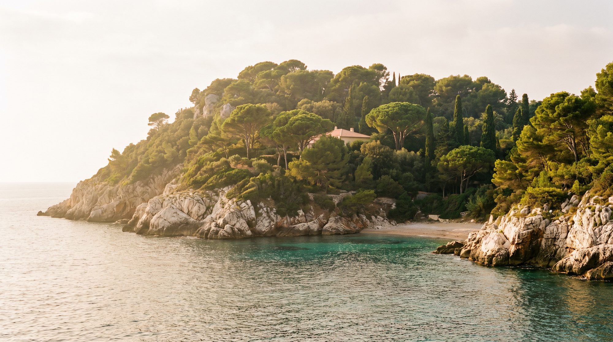 The pine-covered headland of Cap Ferrat falling to white rock and turquoise shallows